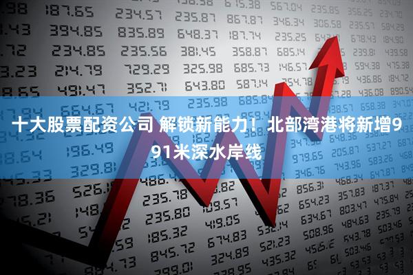 十大股票配资公司 解锁新能力！北部湾港将新增991米深水岸线